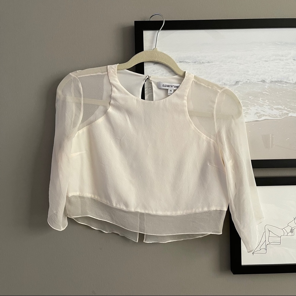 Elizabeth and James crop top